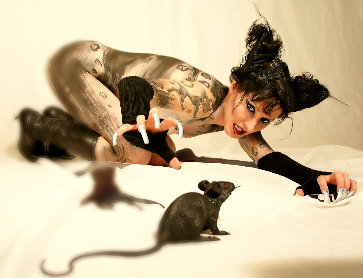 Cat and Mouse