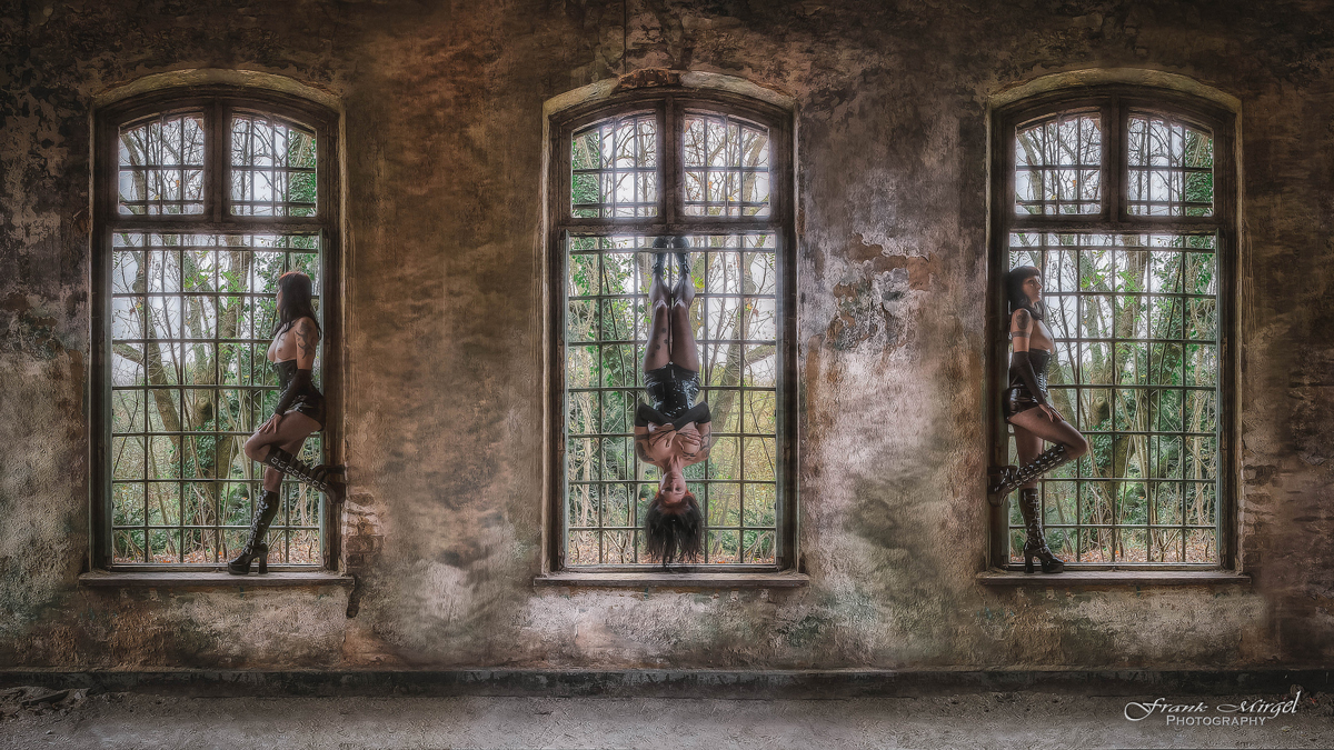 The Windows