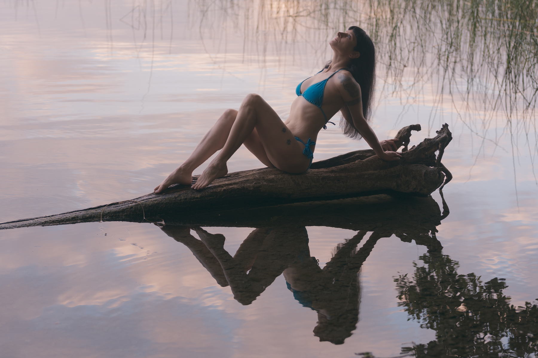 Reflectin