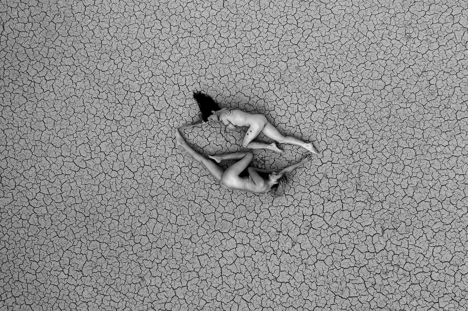 Beauties In Desert