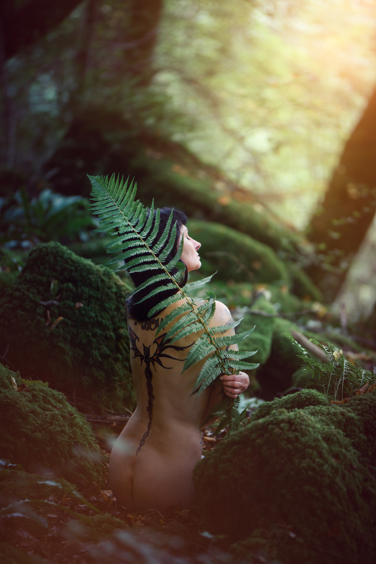 Fern Fay